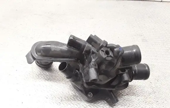 Thermostat/thermostat housing