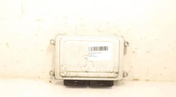 Chevrolet Aveo Engine control unit/module ECU 5WY5956G