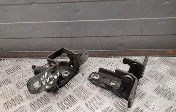 Dodge RAM Front door hinge set 