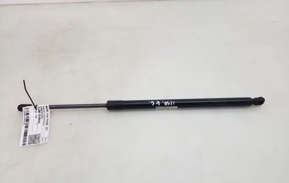 Tailgate strut