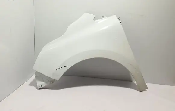 Renault Kangoo III Fender 631019140R
