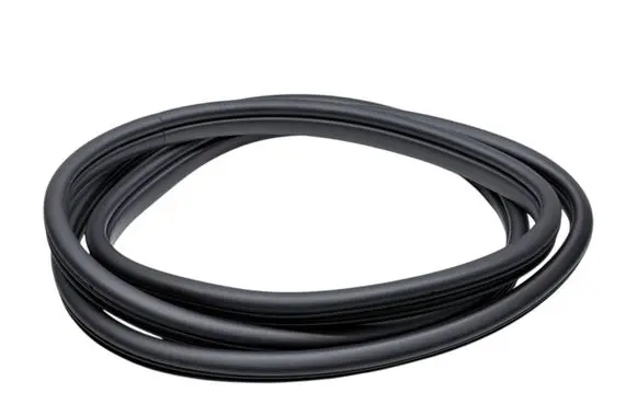 KIA EV6 Front door rubber seal 82110CV000