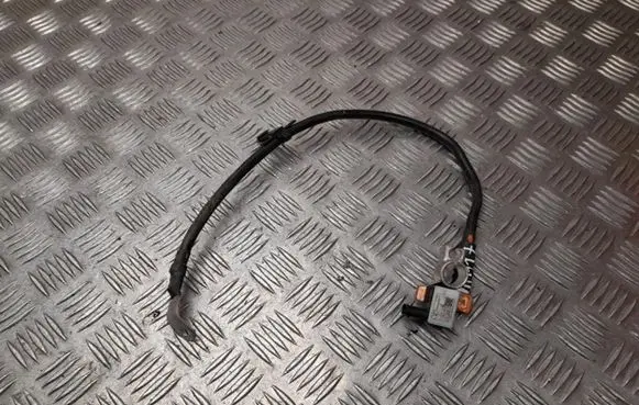 Mercedes-Benz EQE v295 Other wiring loom A0009056511