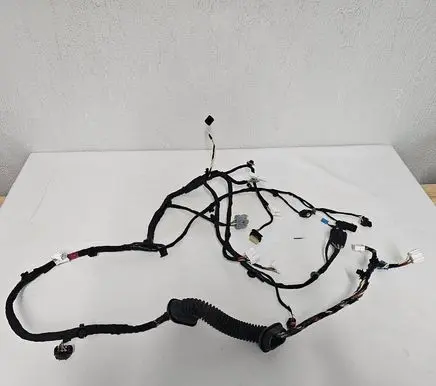 Tesla Model X Other wiring loom 155257400C