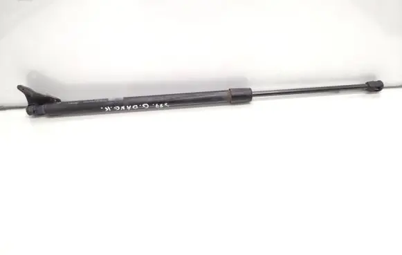 Tailgate/trunk strut/damper