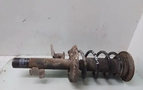 Ford S-MAX Front shock absorber with coil spring