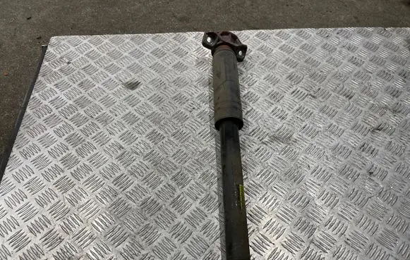 Opel Zafira C Rear shock absorber/damper 13314312