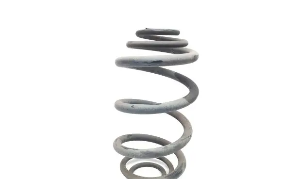 Renault Trafic III (X82) Rear coil spring