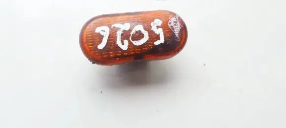 Front fender indicator light