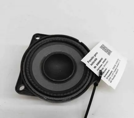 Panel speaker
