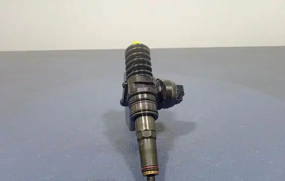 Volkswagen PASSAT B6 Fuel injector 038130079BN