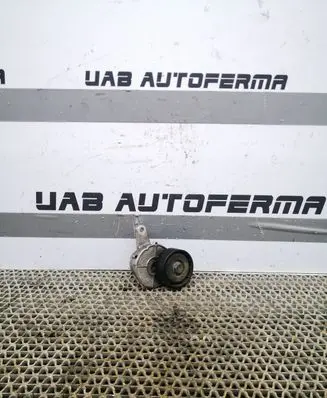 Volkswagen Tiguan Generator/alternator belt tensioner 04L903315