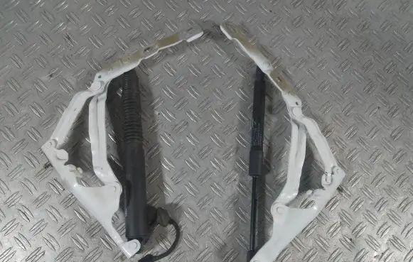 Tailgate/trunk/boot hinge