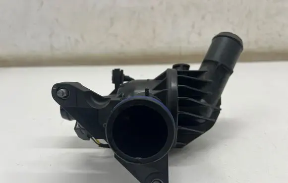 Thermostat/thermostat housing