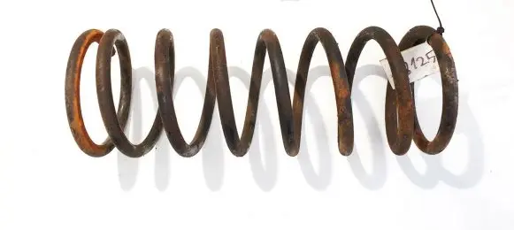 Land Rover Discovery Front coil spring
