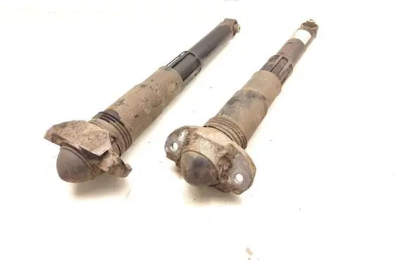 Volkswagen ID.4 Rear shock absorber/damper 1EA512013BD