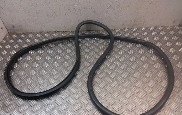 Lexus RX 450H Front door rubber seal