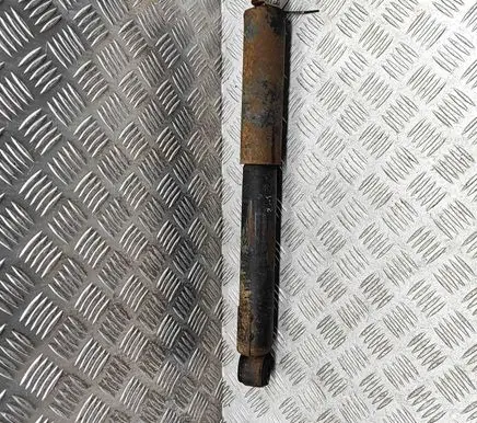 Toyota Land Cruiser (HDJ90) Rear shock absorber/damper 4853169495