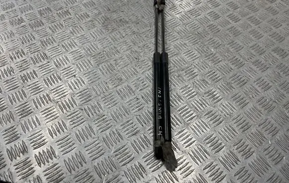 Opel Insignia A Tailgate/trunk strut/damper 22798954
