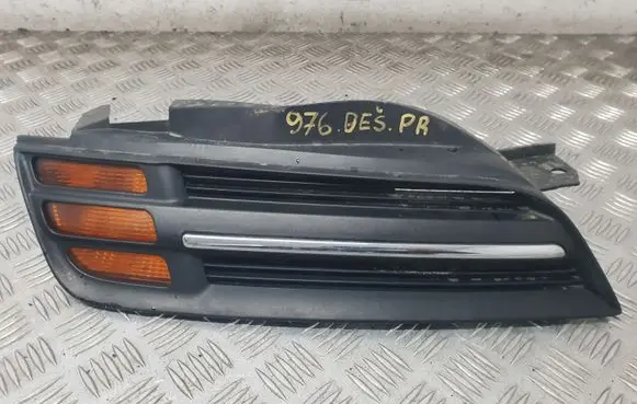 Nissan Micra Front bumper lower grill DS0724202 89027936