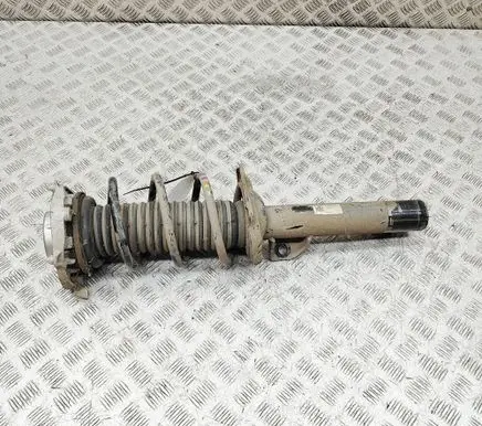 Skoda Enyaq iV Front shock absorber/damper 1EA413023AJ