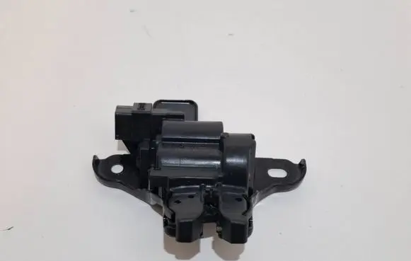 Ford Mustang VI Tailgate/trunk/boot lock/catch/latch FR3B6343282CB