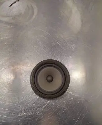 Suzuki SX4 Rear door speaker