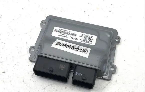 Engine control unit/module ECU