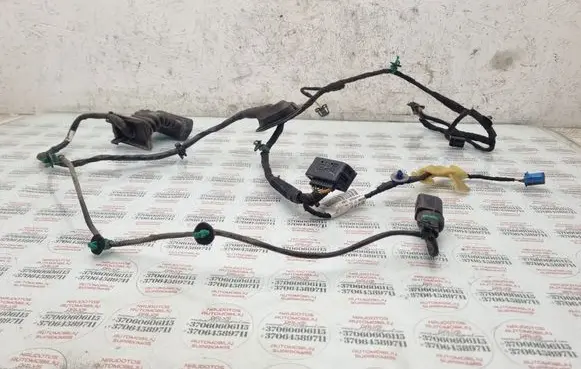 Rear door wiring loom