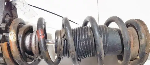 Nissan Primera Rear coil spring