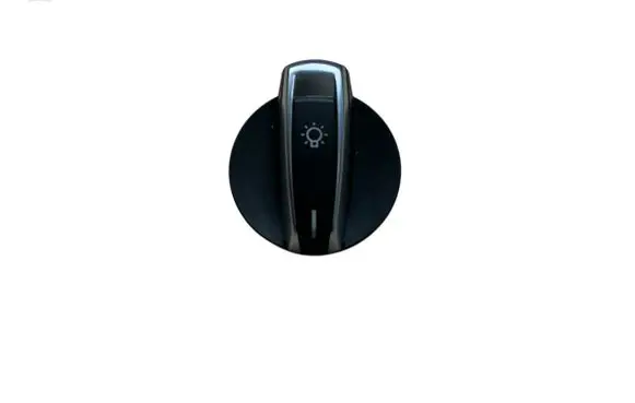 BMW X1 F48 F49 Interior lighting switch 