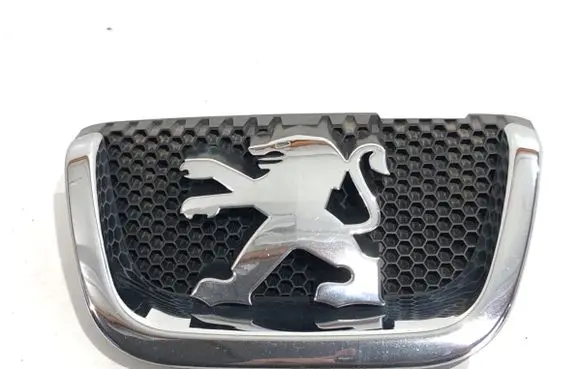 Peugeot 407 Front grill 9648195677