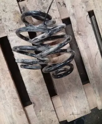 Rear coil spring