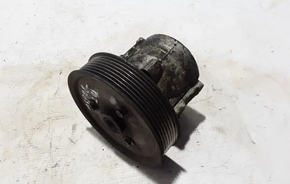 Renault Espace - Grand espace IV Power steering pump 491100920R