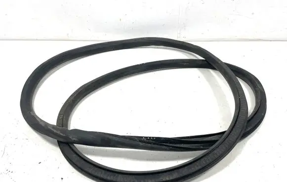 Opel Insignia A Front door rubber seal