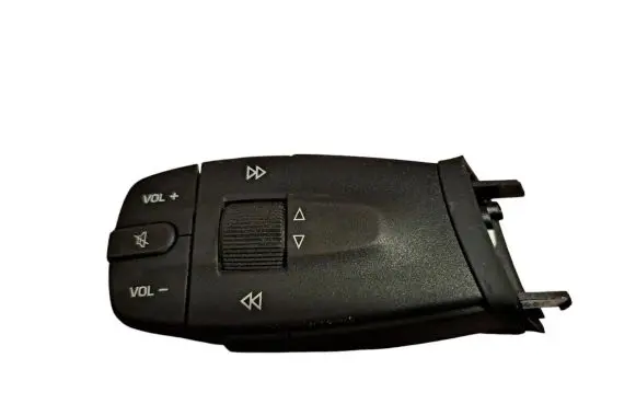 Multifunctional control switch/knob