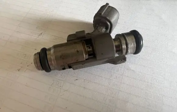 Citroen C3 Fuel injector 0334
