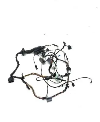 BMW X5 E70 Front door wiring loom 9147281 9169242