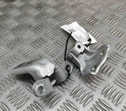 Hyundai Santa Fe Rear door hinge set 