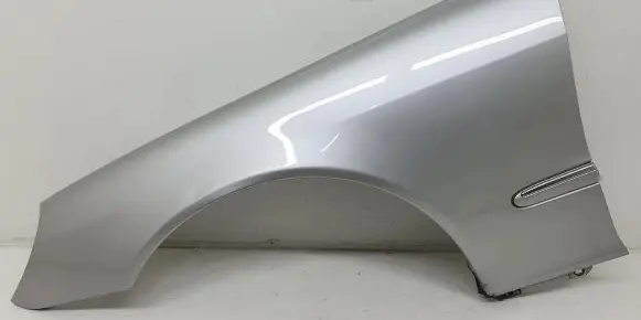 Mercedes-Benz S W220 Fender