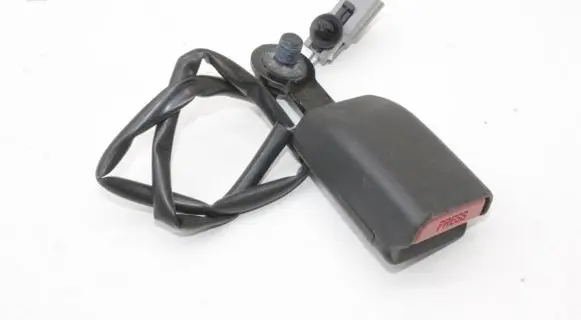 Tesla Model S Rear seatbelt buckle 101879100D