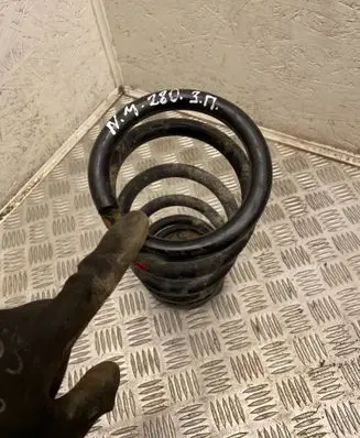 Rear coil spring