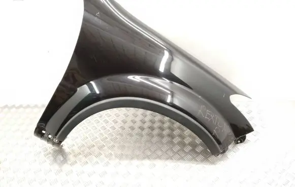 SsangYong Rexton I Fender