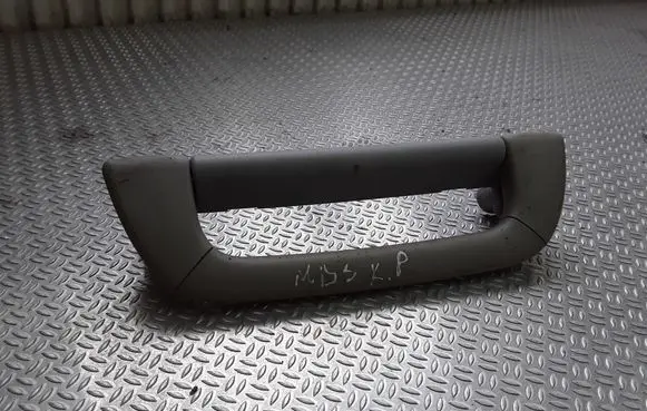 Front interior roof grab handle