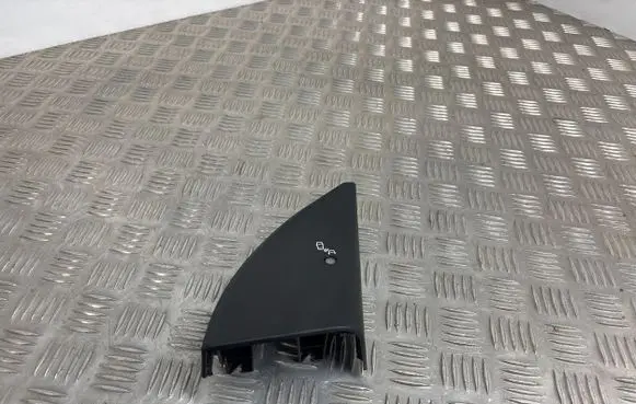 Blind spot module