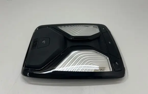 BMW X5 G05 Front seat light 5B32479