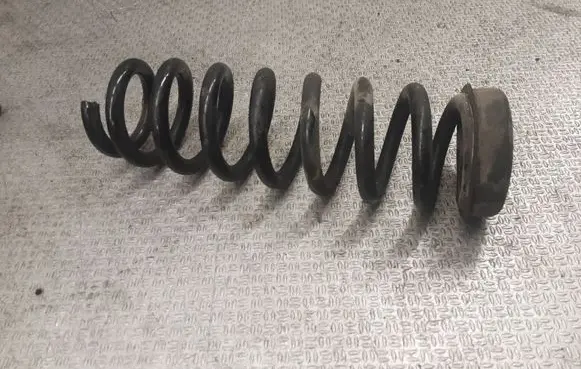 Rear coil spring