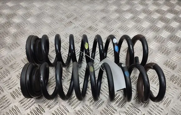 Rear coil spring