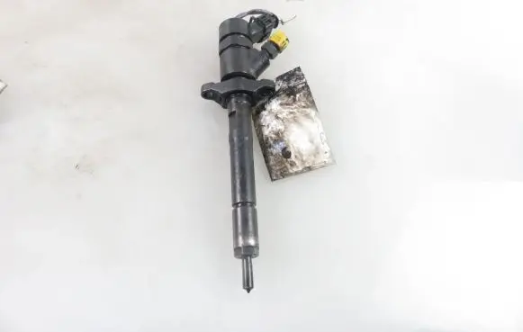 Citroen C4 I Fuel injector 0445110239