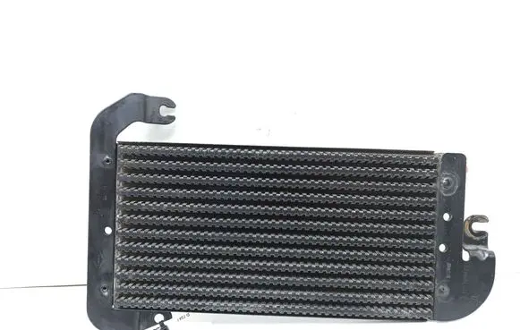 Opel Vivaro Fuel cooler (radiator) 175104049R 93868458
